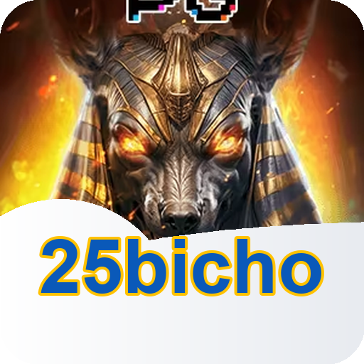 Verificação KYC 25bicho
