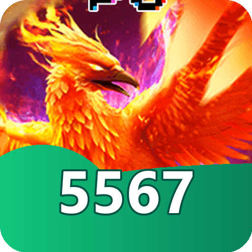 Verificação KYC 5567