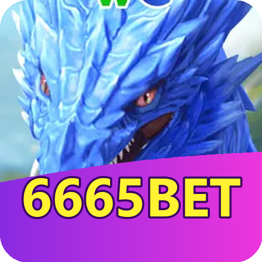 Verificação KYC 6665bet