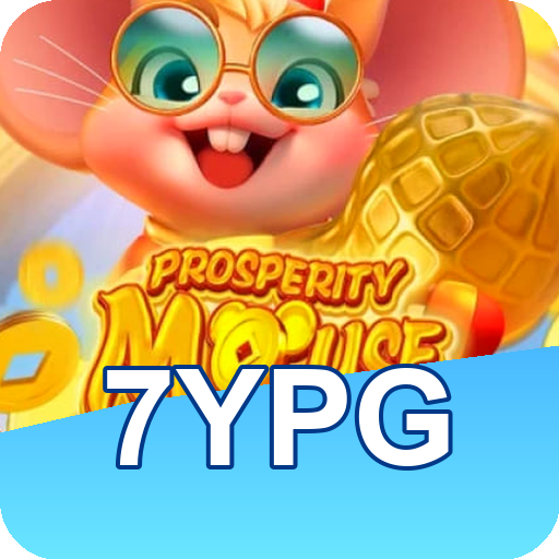 Verificação KYC 7ypg