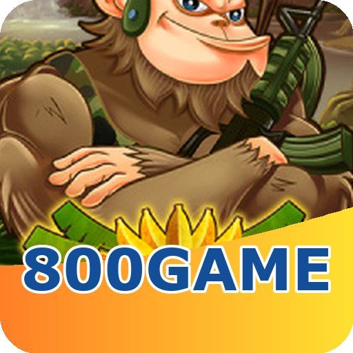 Verificação KYC 800game