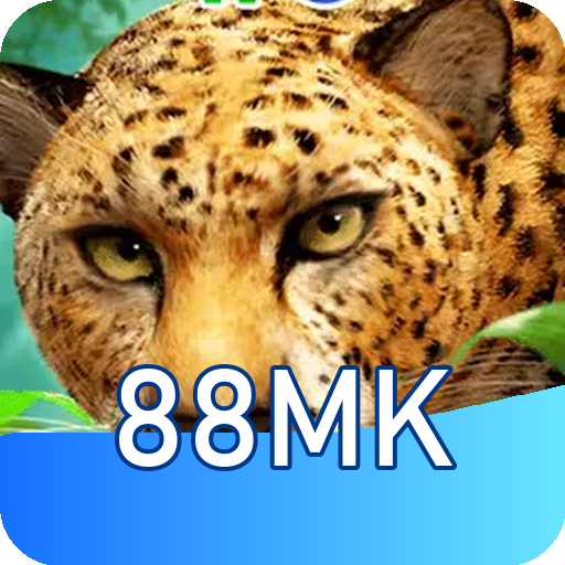 Formulário de Registro 88mk