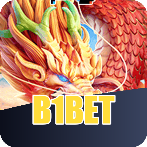 Verificação KYC b1bet