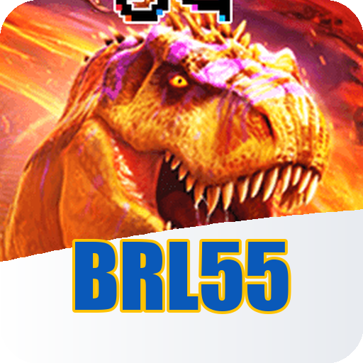 Formulário de Registro brl55