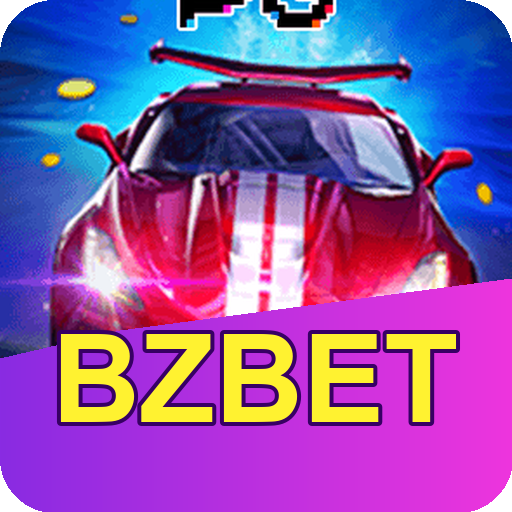 Verificação KYC bzbet