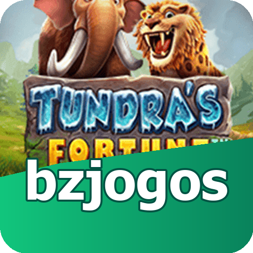Verificação KYC bzjogos