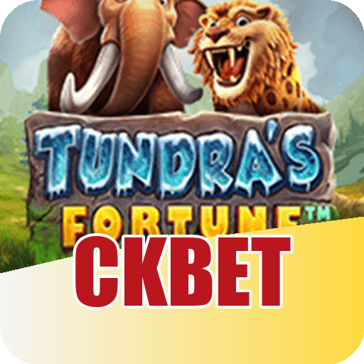 Formulário de Registro ckbet
