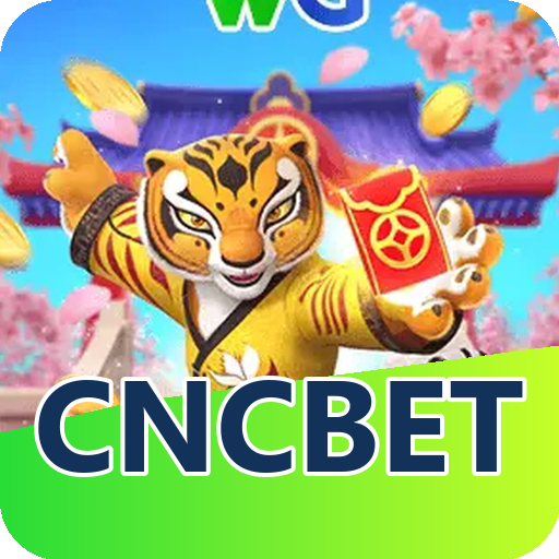 Verificação KYC cncbet