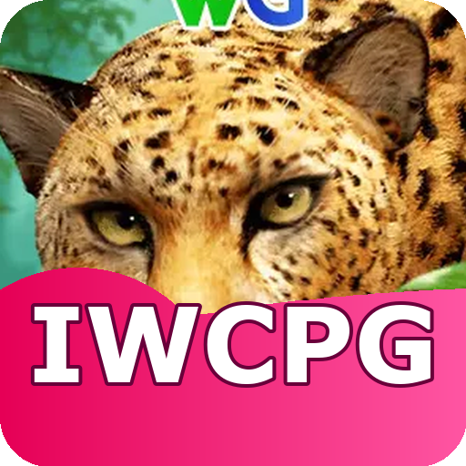 Verificação KYC iwcpg