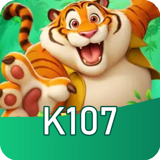 Formulário de Registro k107