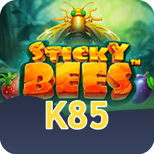 Formulário de Registro k85