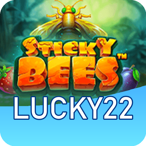 Verificação KYC lucky22