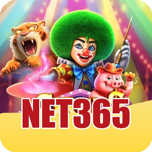 Mega Ball ao Vivo - Bingo + Loteria