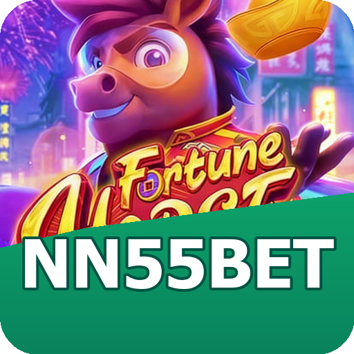 Verificação KYC nn55bet