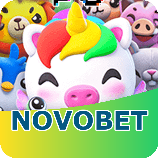 Verificação KYC novobet