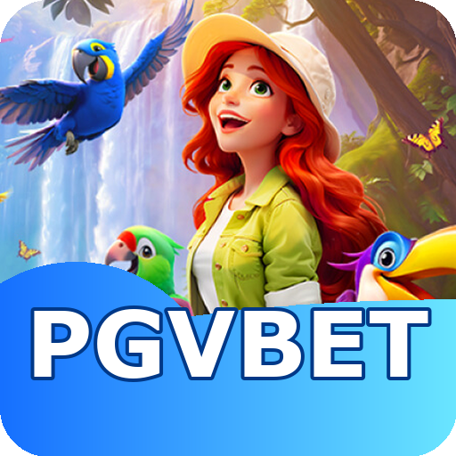 Verificação KYC pgvbet