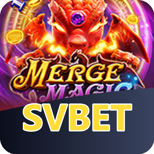 Verificação KYC svbet