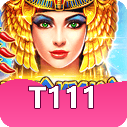 Formulário de Registro t111