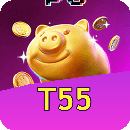 Verificação KYC t55
