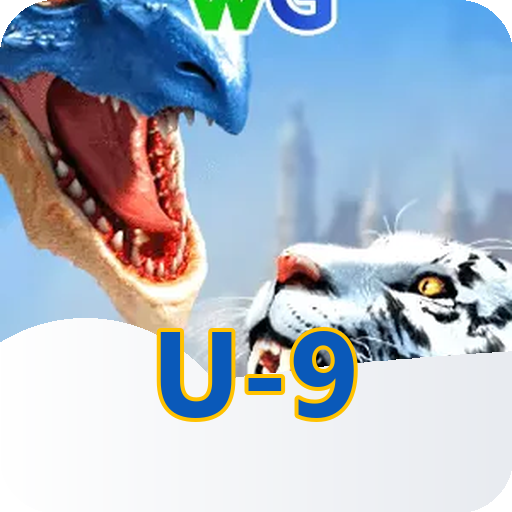 Formulário de Registro u-9